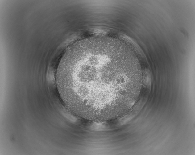 X0000111620573200908281115