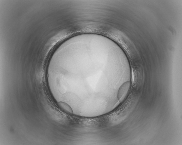 X0000111620579200908281115