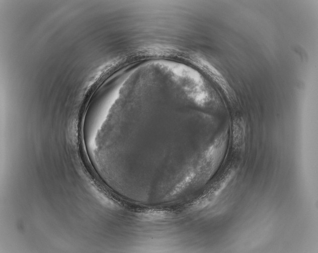 X0000111620581200908281115