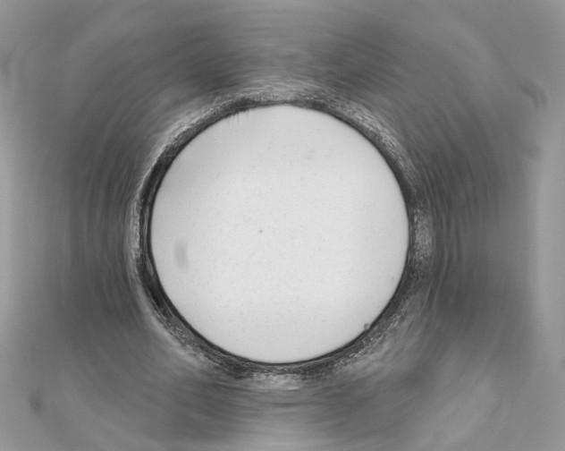 X0000111620582200908281115