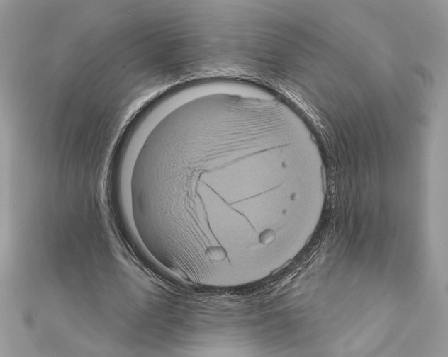 X0000111620583200908281115