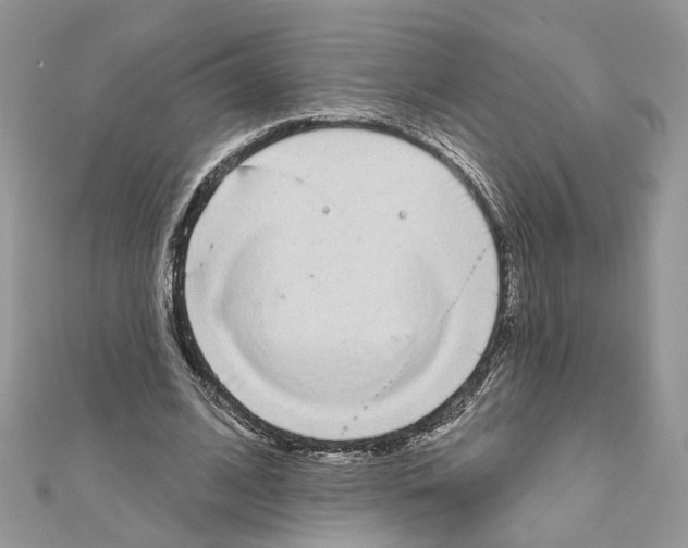 X0000111620584200908281115