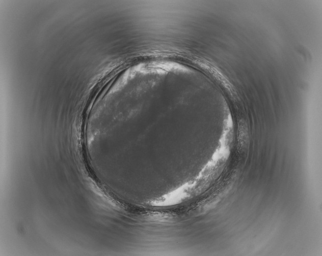 X0000111620585200908281115