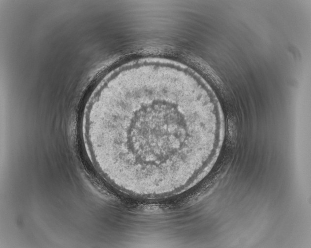 X0000111620588200908281115