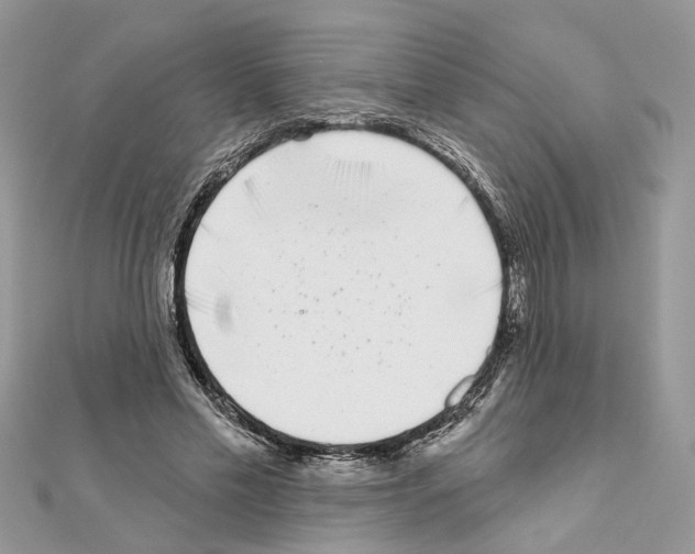 X0000111620589200908281115