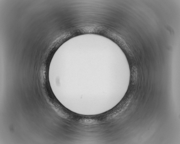 X0000111620590200908281115