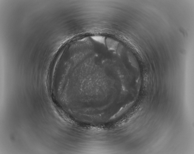 X0000111620592200908281114