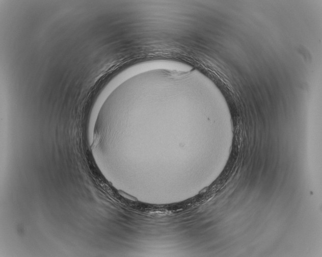 X0000111620595200908281114