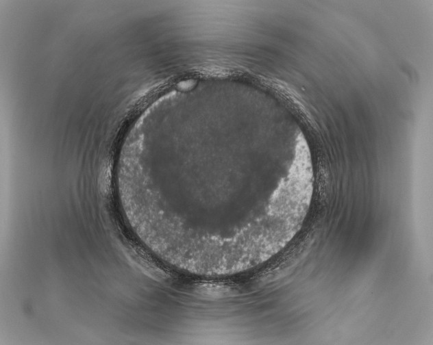 X0000111620596200908281114