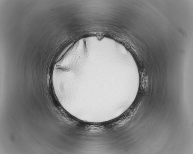 X0000111620597200908281114