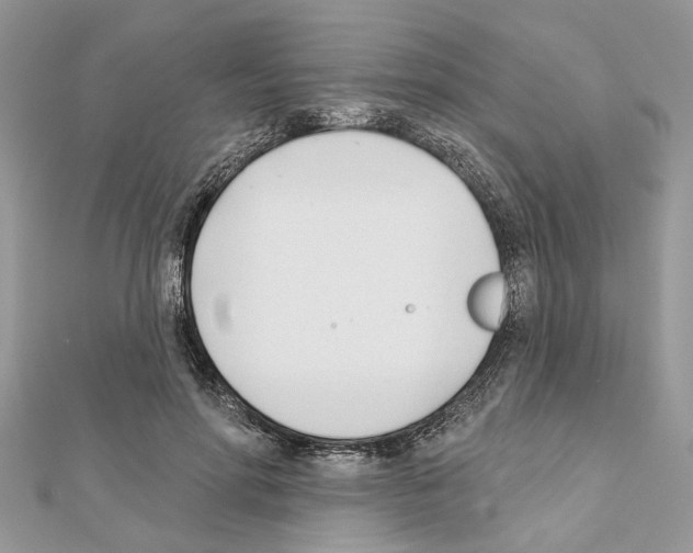 X0000111620598200908281114