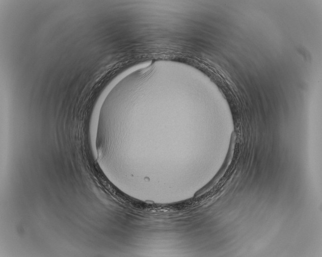 X0000111620599200908281114