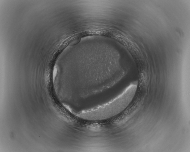 X0000111620600200908281114