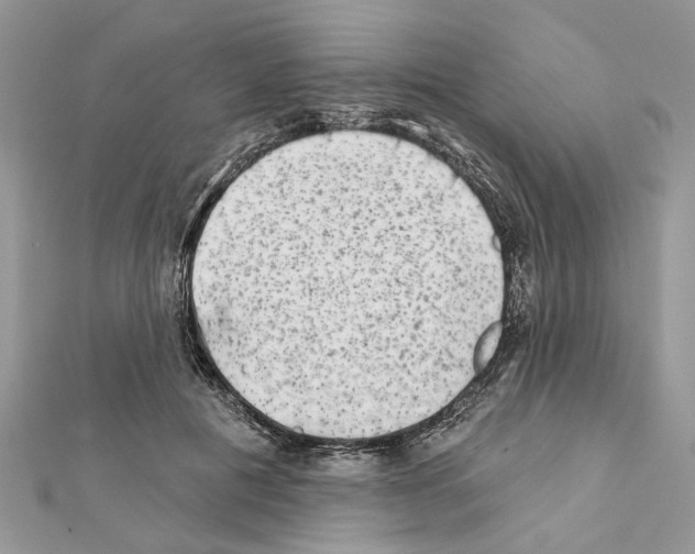 X0000111620601200908281114