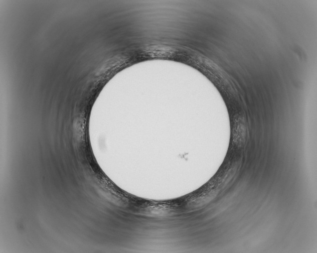 X0000111620604200908281114