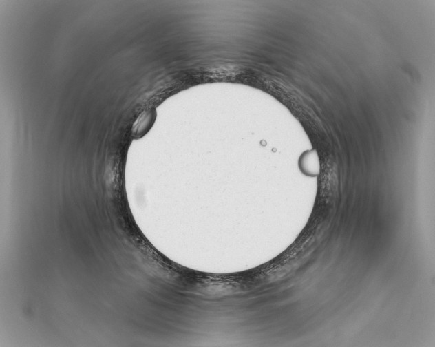 X0000111620608200908281114