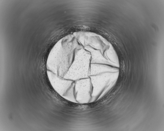 X0000111620609200908281114