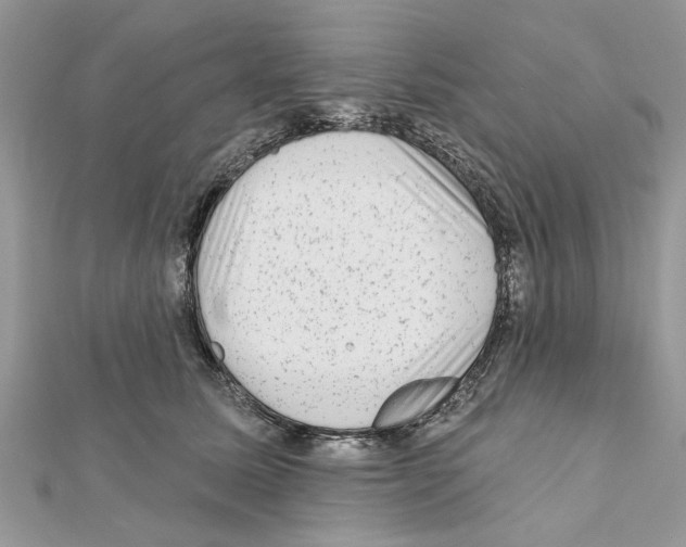 X0000111620611200908281114