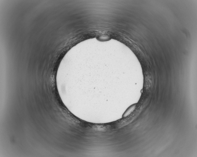 X0000111620613200908281114