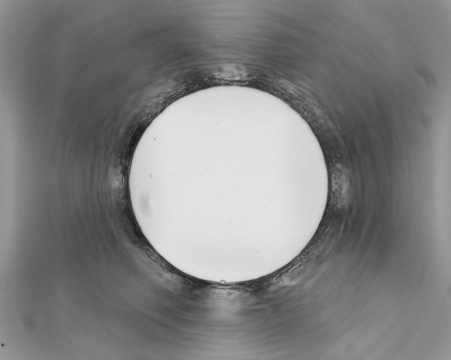 X0000111620614200908281114