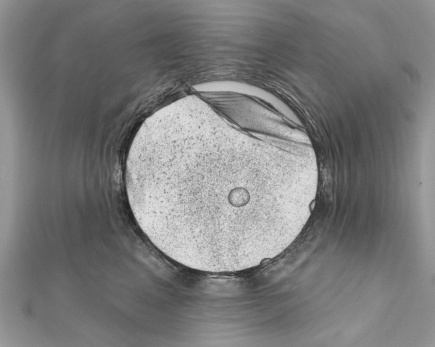 X0000111620617200908281114