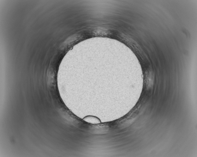 X0000111620619200908281114