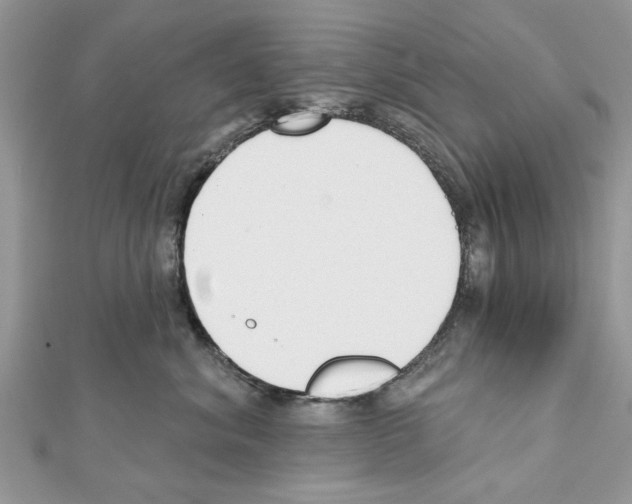 X0000111620620200908281114