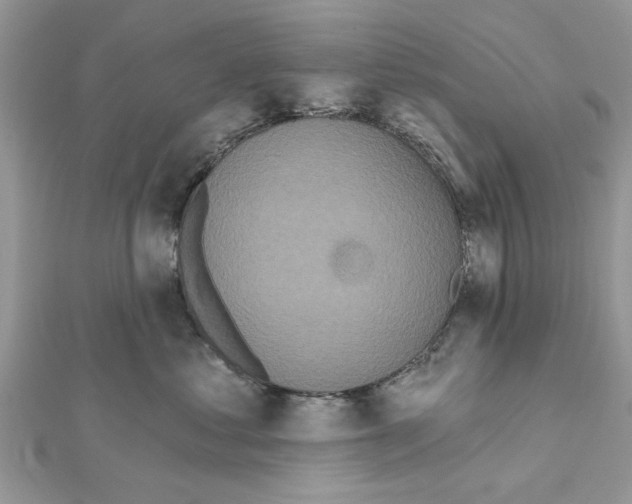 X0000111620621200908281114