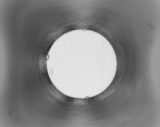 X0000111620624200908281114