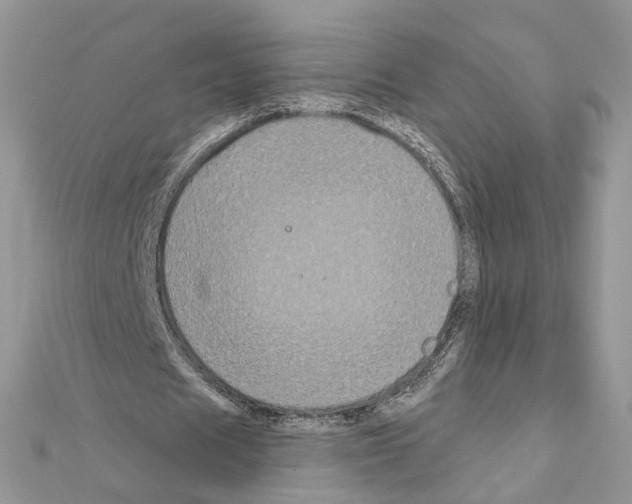 X0000111620625200908281113