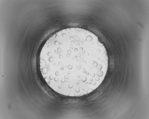 X0000111620626200908281113