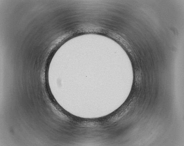 X0000111620629200908281113