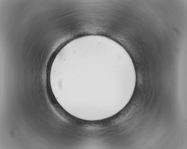 X0000111620630200908281113