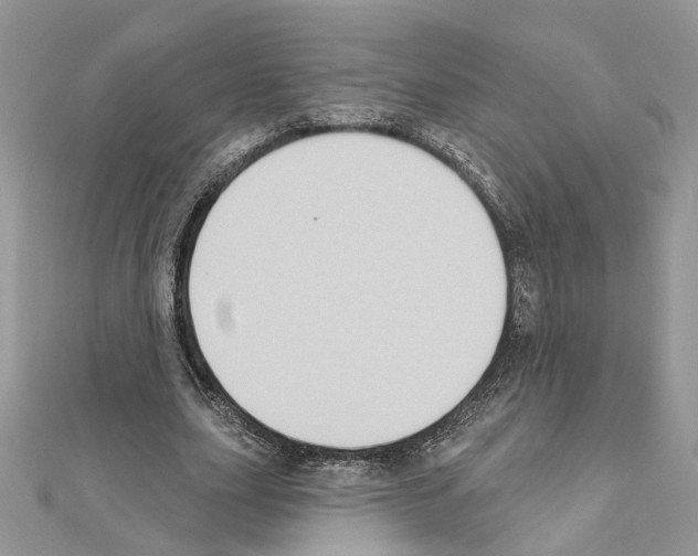 X0000111620631200908281113