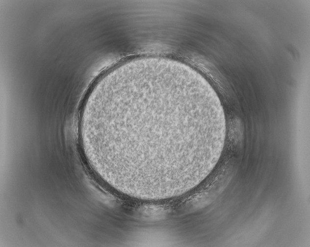 X0000111620632200908281113