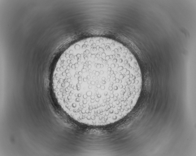 X0000111620635200908281113