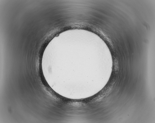 X0000111620637200908281113