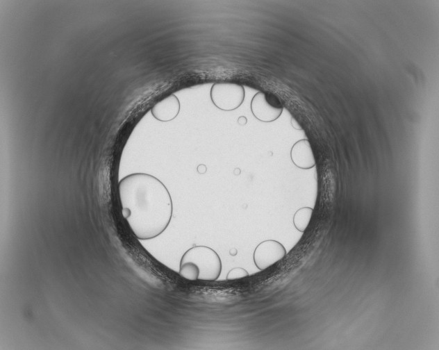 X0000111620638200908281113