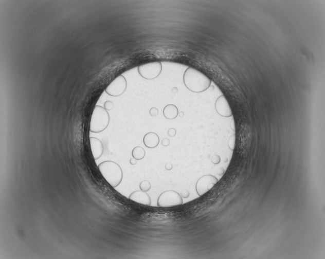 X0000111620639200908281113