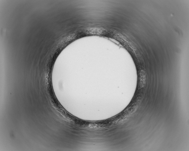 X0000111620641200908281113