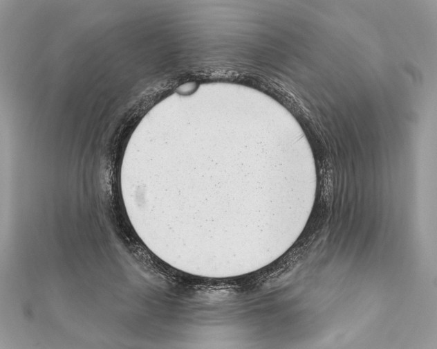 X0000111620643200908281114