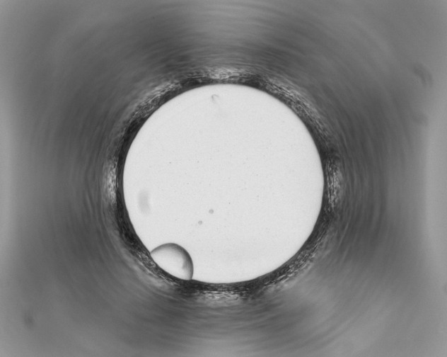 X0000111620644200908281114