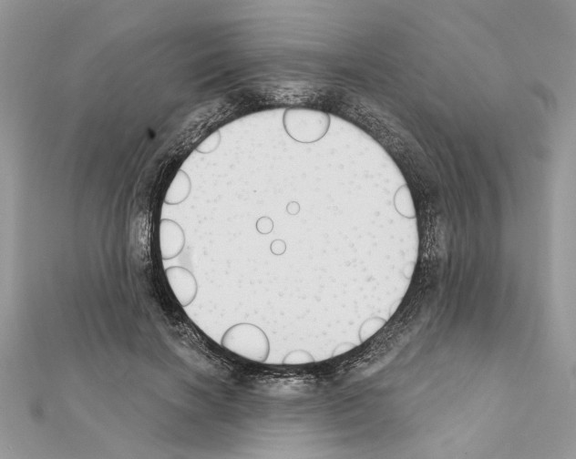 X0000111620646200908281114