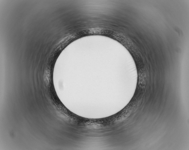 X0000111620648200908281114