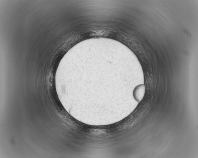 X0000111620649200908281114