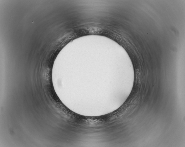 X0000111620650200908281114