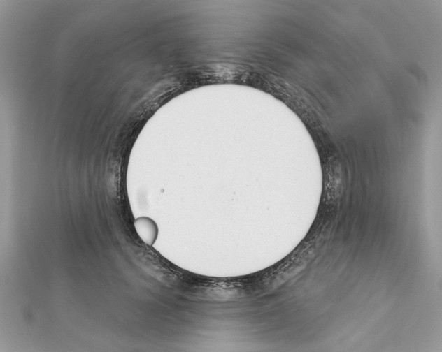 X0000111620656200908281114