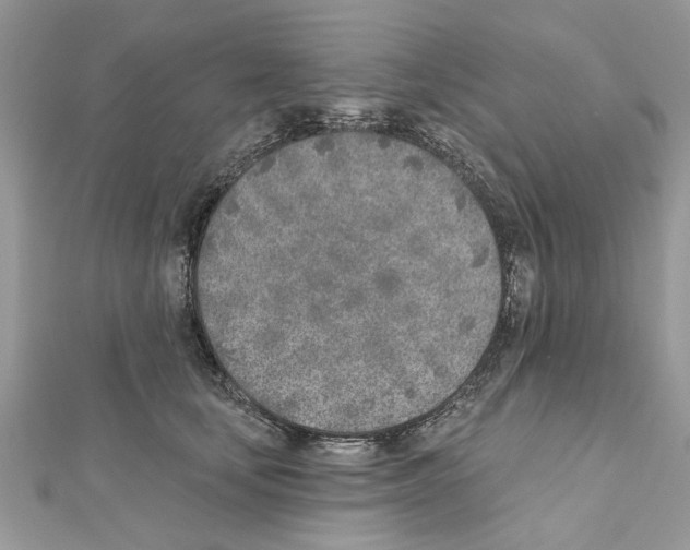 X0000111620659200908281114