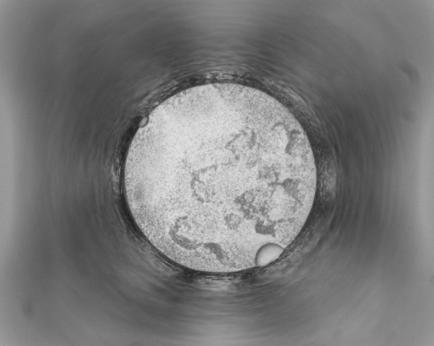 X0000111620661200908281114