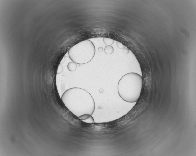 X0000111620662200908281114